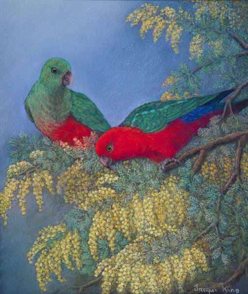 Kings in wattle.jpg - Kings in wattle